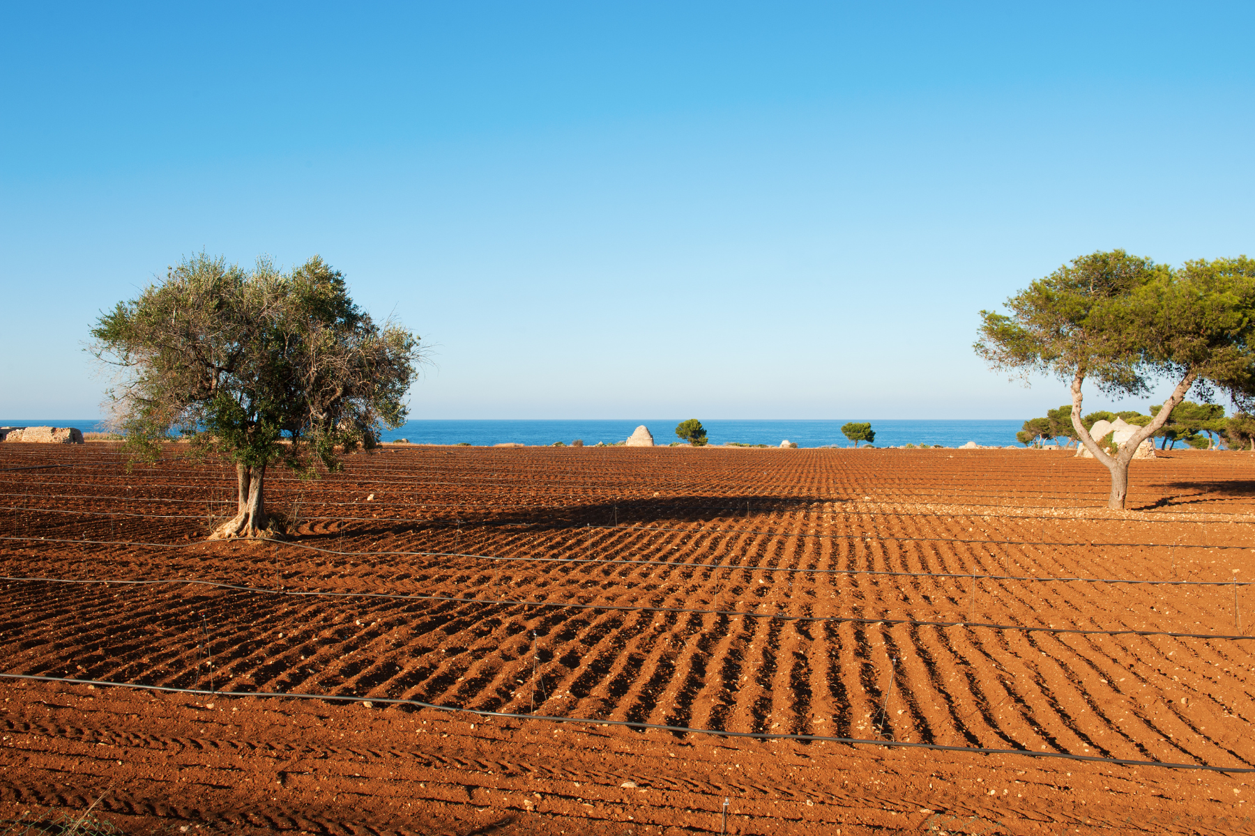 Puglia landscape and territorial advisory